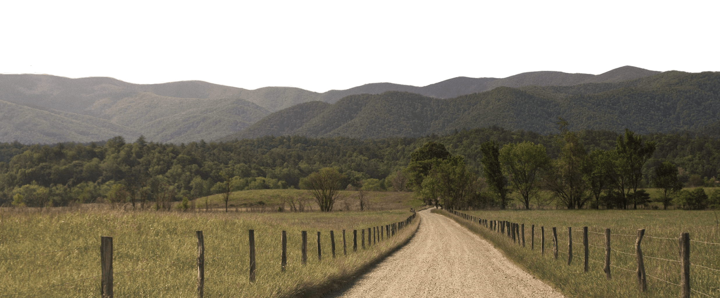 Fondo Montes